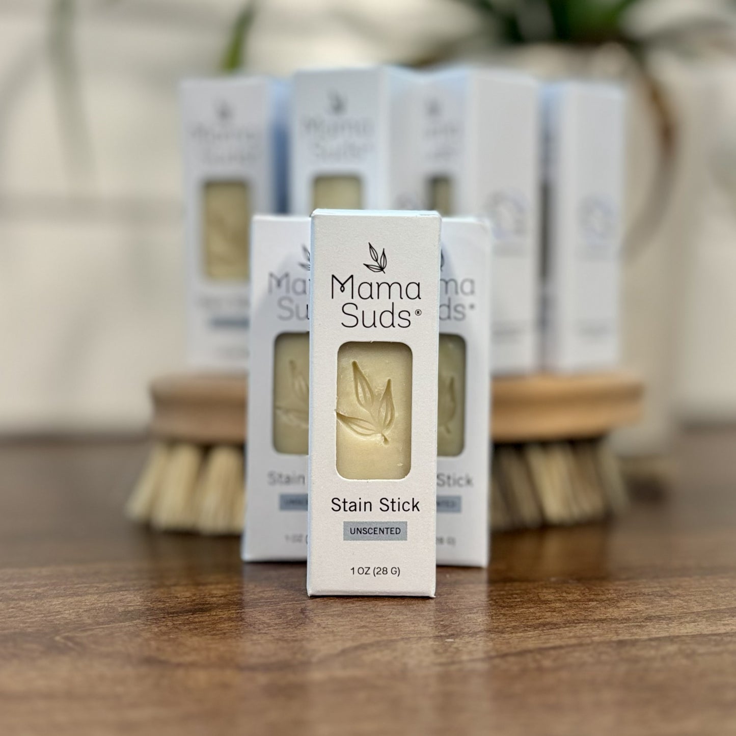 Laundry Stain Stick (4)